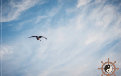 Van de vogel naar de lucht: Leren om van perspectief te wisselen in herstel