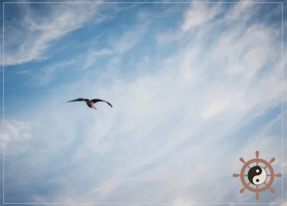 Van de vogel naar de lucht: Leren om van perspectief te wisselen in herstel