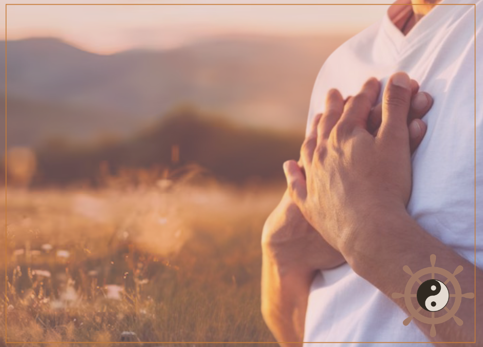 Leren met zachtheid antwoord te geven op zelfafwijzing