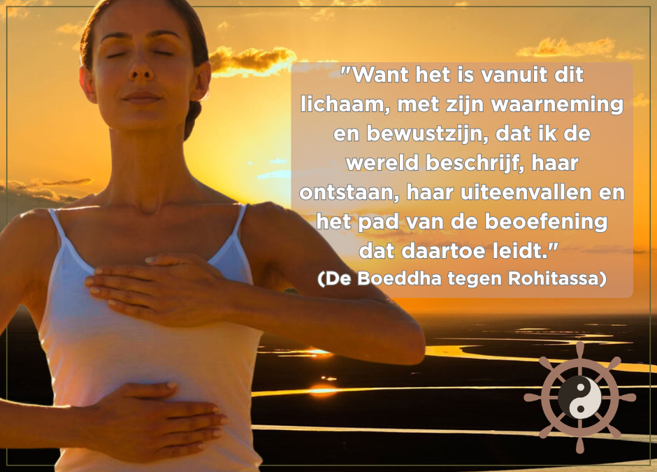 Vrouw mediteert met een hand op het hart en op het buik ter illustartie van de compassievolle bodyscan in een blog over compassie, het lichaam en trauma bij herstel van verslaving, met op de achtergrond een quote uit de Rohitassa suttra: "Want het is vanuit dit lichaam, met zijn waarneming en bewustzijn, dat ik de wereld beschrijf, haar ontstaan, haar uiteenvallen en het pad van de beoefening dat daartoe leidt."