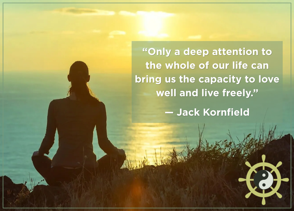 Silhouet van een vrouw die mediteert op een heuvel, uitkijkend over de zee en een zon die ondergaat als symbool voor een blog van Recovery Dharma Nijmegen over de 4 fundamenten van Zuivere Aandacht in herstel van verslaving, met naast haar een quote van Jack Kornfield: “Only a deep attention to the whole of our life can bring us the capacity to love well and live freely.”